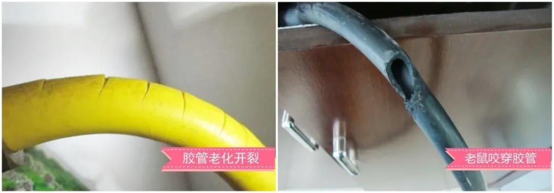 微信圖片_20200923075800.jpg